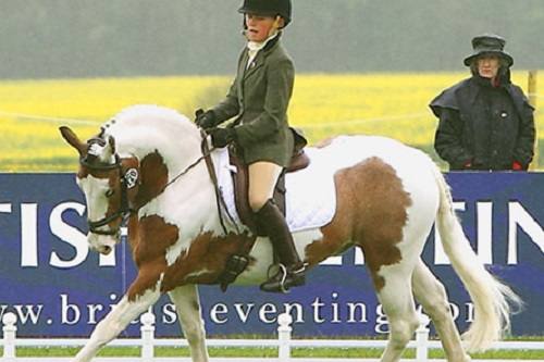 Mini Eventer Challenge - 16th August